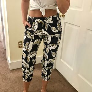 J Crew Pants